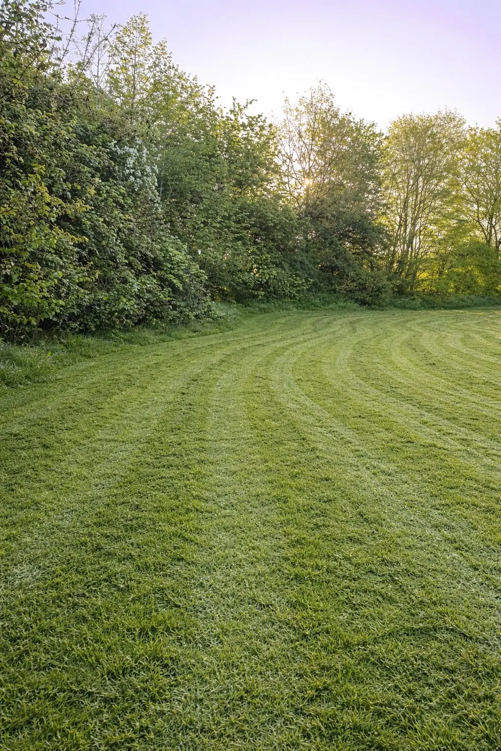 Landscaping Services in Gloucester