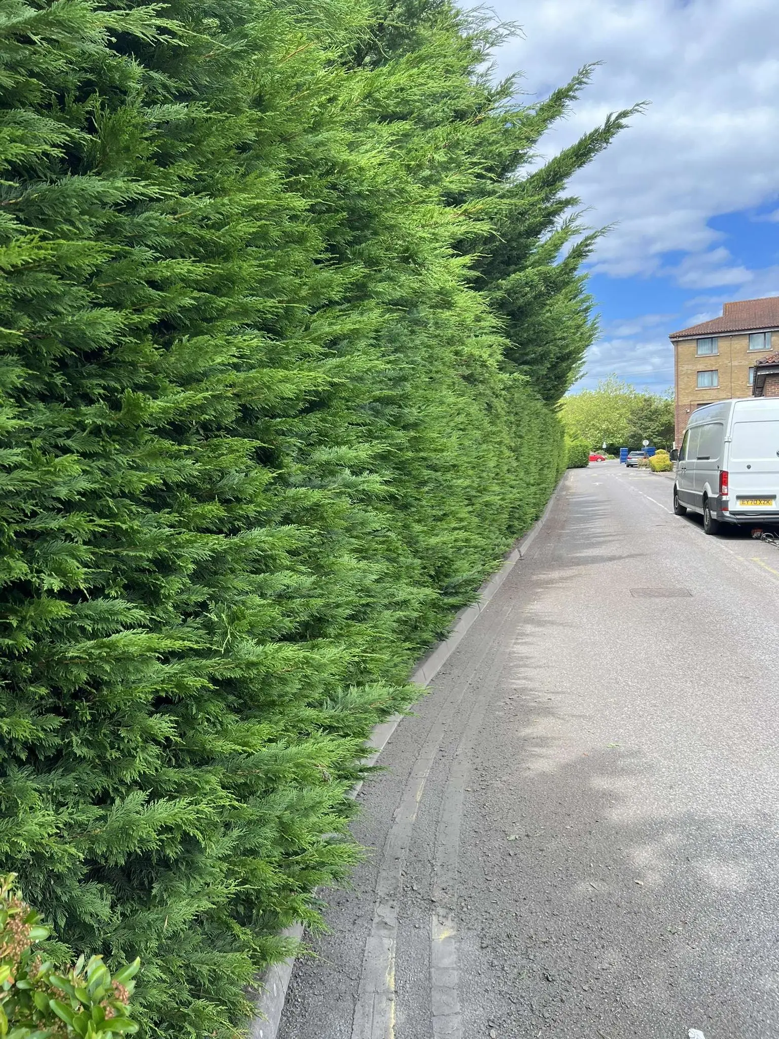 Soft Landscaping in Gloucester